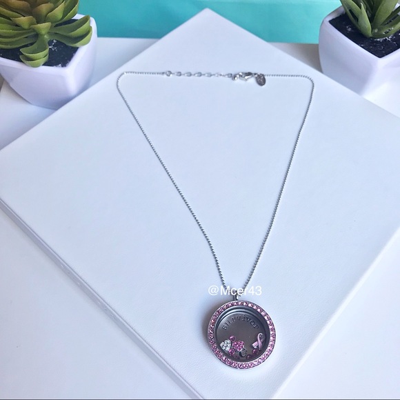 Origami Owl Jewelry - Breast Cancer Survivor Twist Locket